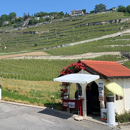 La Gremillette Gourmande Lavaux Apartment Rivaz Bagian luar foto
