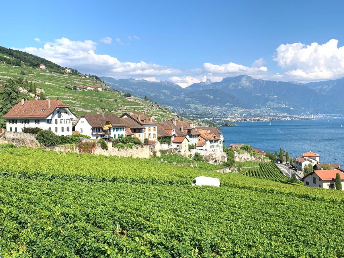 La Gremillette Gourmande Lavaux Apartment Rivaz Bagian luar foto