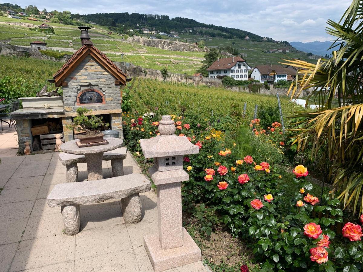 La Gremillette Gourmande Lavaux Apartment Rivaz Bagian luar foto