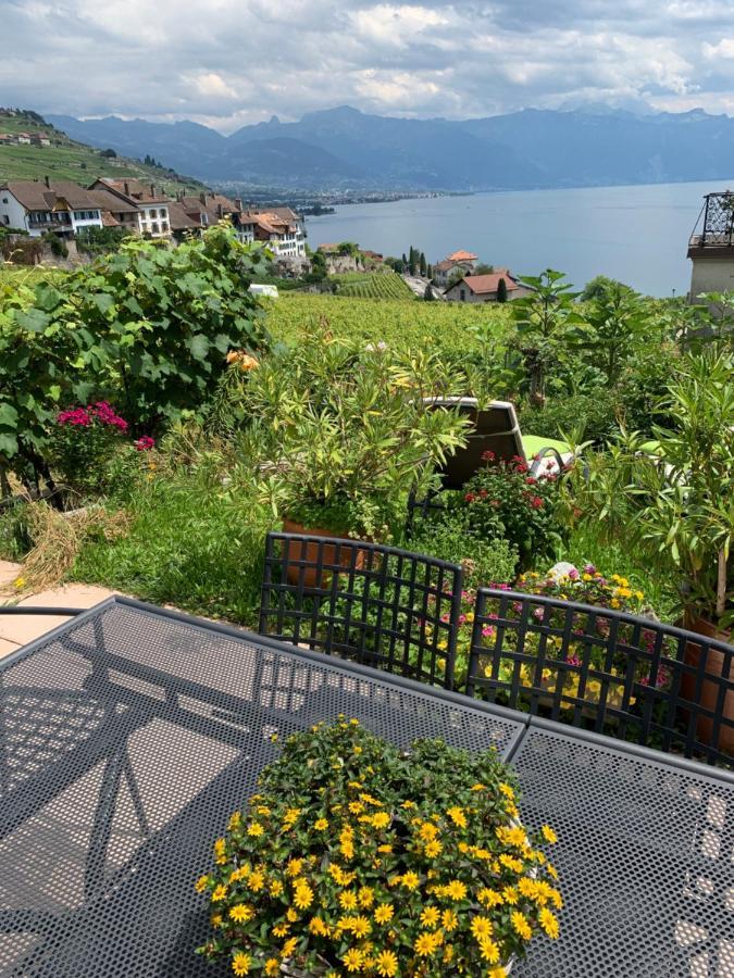 La Gremillette Gourmande Lavaux Apartment Rivaz Bagian luar foto