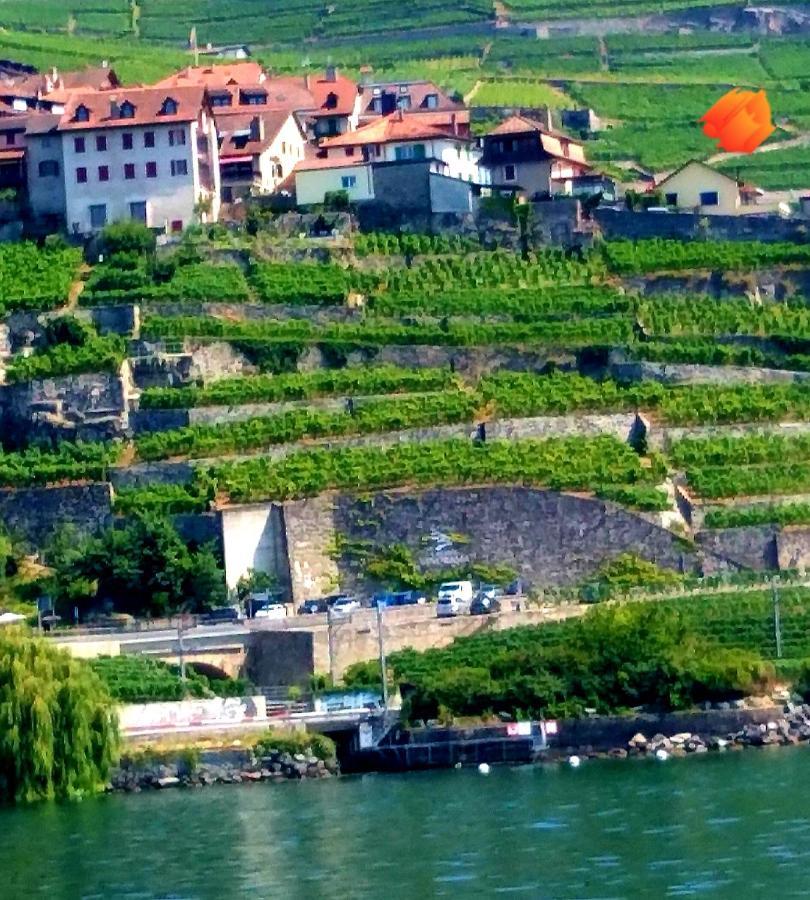 La Gremillette Gourmande Lavaux Apartment Rivaz Bagian luar foto