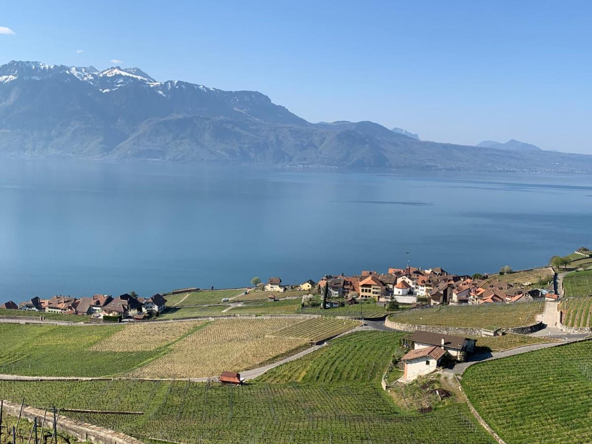 La Gremillette Gourmande Lavaux Apartment Rivaz Bagian luar foto