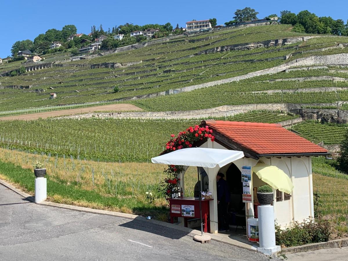 La Gremillette Gourmande Lavaux Apartment Rivaz Bagian luar foto