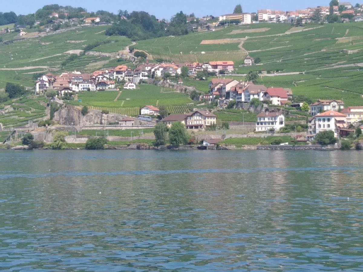 La Gremillette Gourmande Lavaux Apartment Rivaz Bagian luar foto