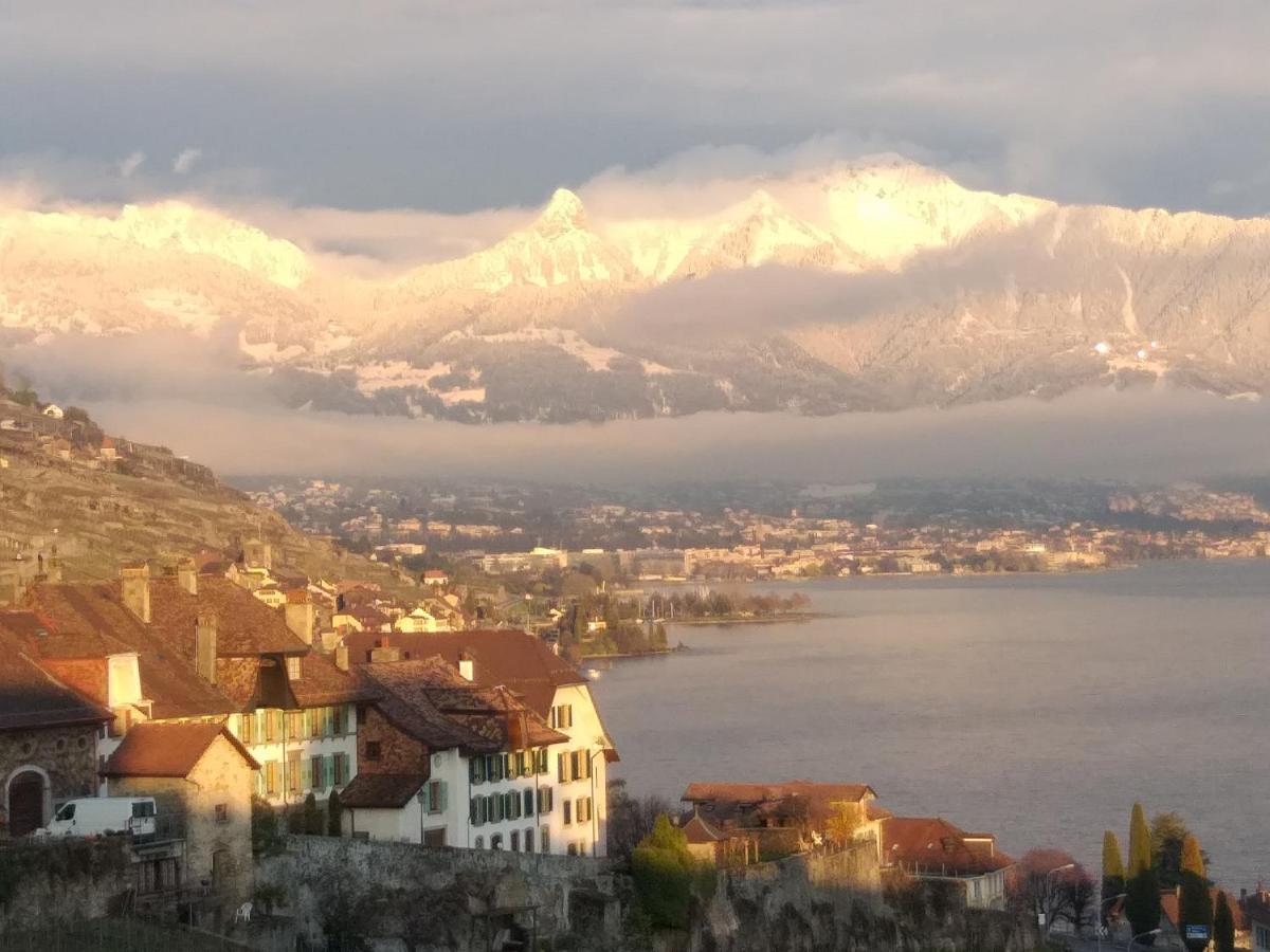 La Gremillette Gourmande Lavaux Apartment Rivaz Bagian luar foto