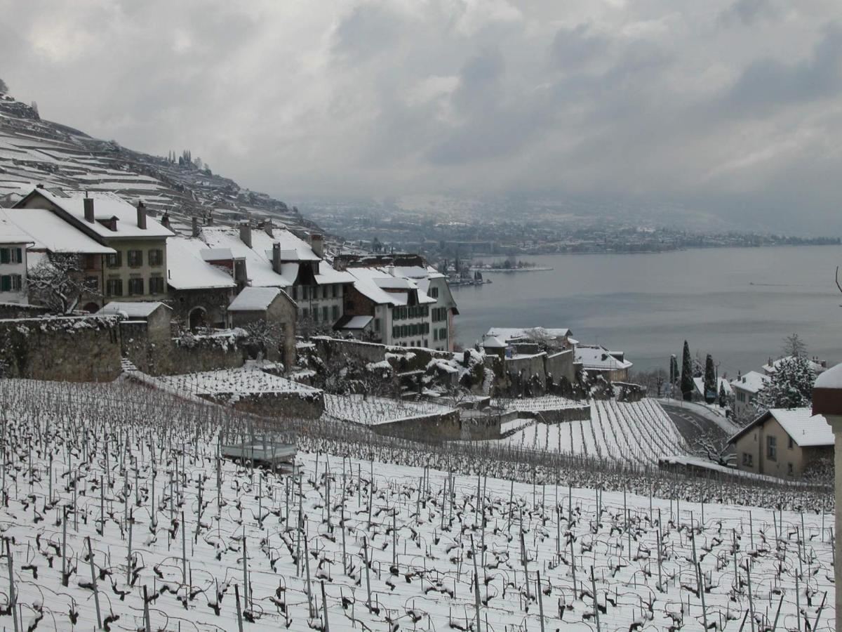 La Gremillette Gourmande Lavaux Apartment Rivaz Bagian luar foto